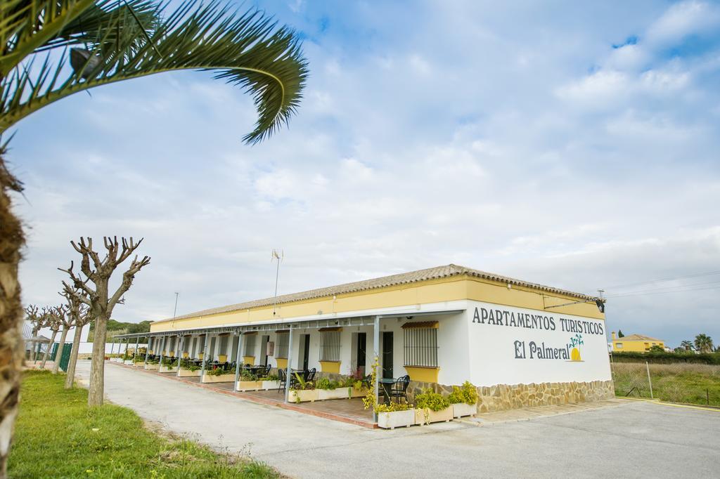 Apartamentos El Palmeral Conil De La Frontera Zimmer foto